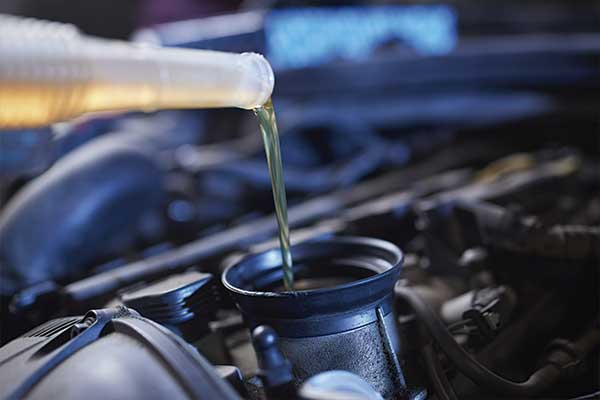 Cambio de aceite y filtros en Alicante Cambio de aceite y filtros en Alicante